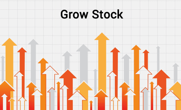 Cổ phiếu Cổ phiếu tăng trưởng là gì? Cổ phiếu tăng trưởng là | Stockbook